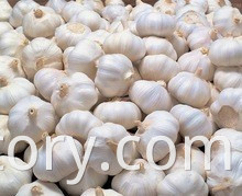 Pure white garlic 6.0 cm-10kg carton